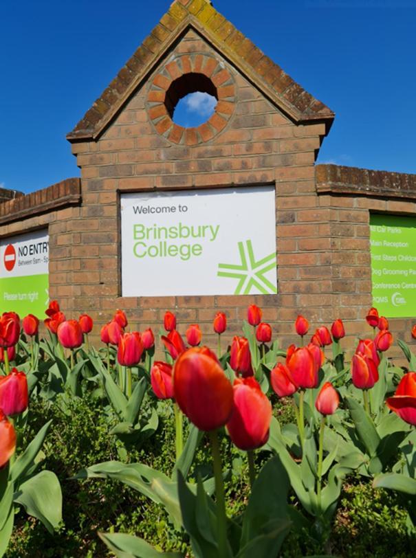 Bramley Guest Rooms Pulborough Esterno foto